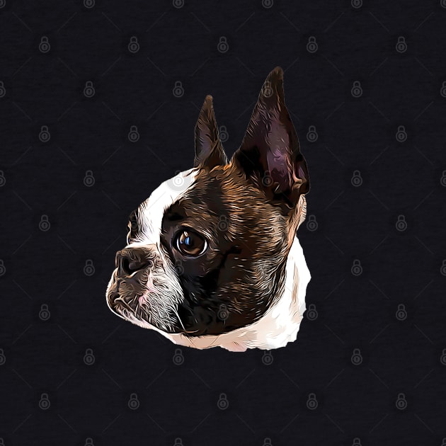 Boston Terrier Stunning Dog! by ElegantCat